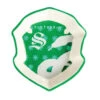 Enesco Harry Potter Slytherin House Shield Trinket Dish 1 Enesco Harry Potter Slytherin House Shield Trinket Dish -Enesco Store Harry Potter Slytherin House Shield Trinket Dish 6016292 01